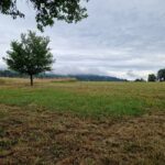 Výhled na Kozákov od Panorama Kozákov