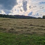 Letní výhled z Panorama Kozákov na rozhlednu Kozákov